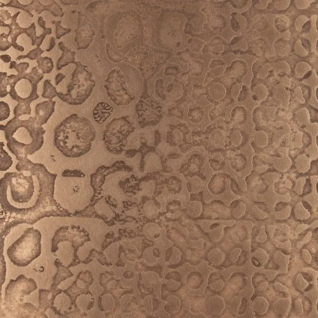 OM5, Bronze
