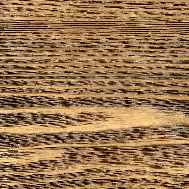WM2, Brown Brass Polished